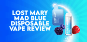 Lost Mary Mad Blue Disposable Vape Review - TABlites