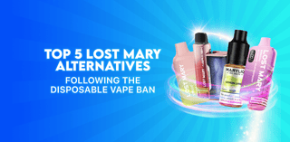 Top 5 Lost Mary alternatives following the disposable vape ban Tablites Top 5 Lost Mary alternatives following the disposable vape ban Tablites