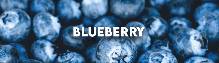 Blueberry Flavour Vape Juice - TABlites